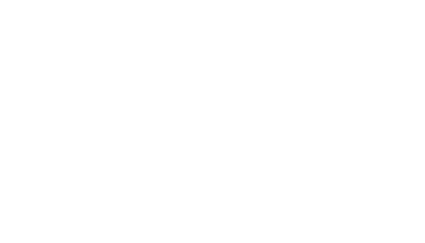 payoptadvisors